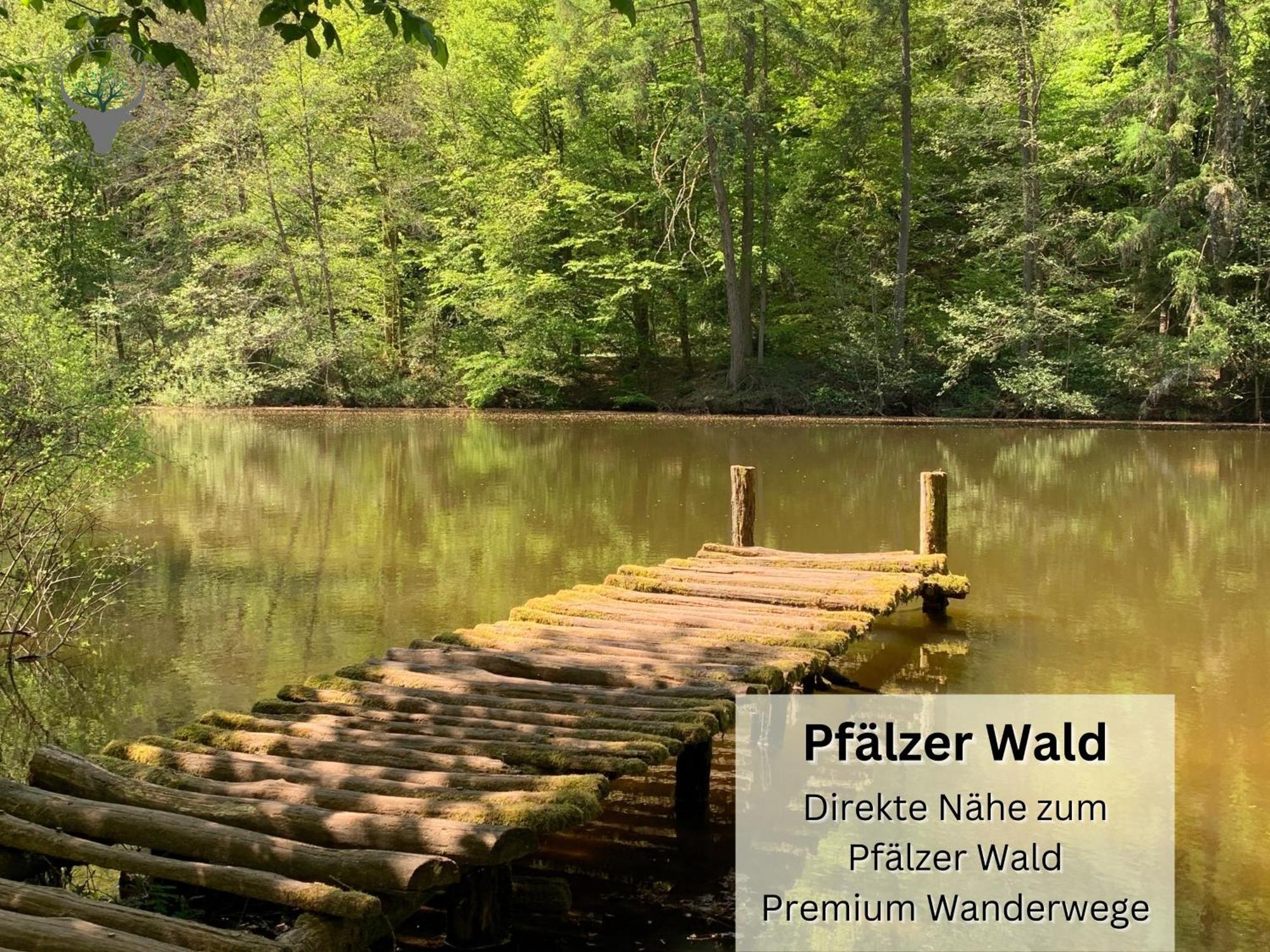 Stierpartment Am Pfaelzer Wald Naehe Outlet Center Zweibruecken Apartman Pirmasens Kültér fotó